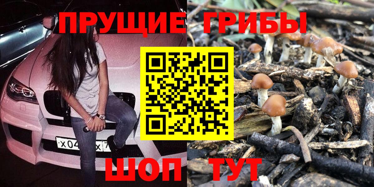Галлюциногенные грибы Magic Shrooms Киселёвск